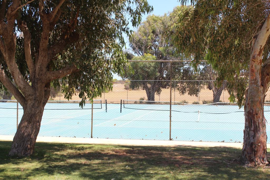 Horrocks Beach Caravan Park מראה חיצוני תמונה